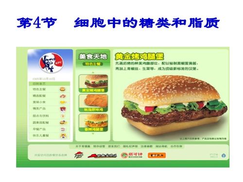 細(xì)胞中的糖類和脂質(zhì)下載 生物